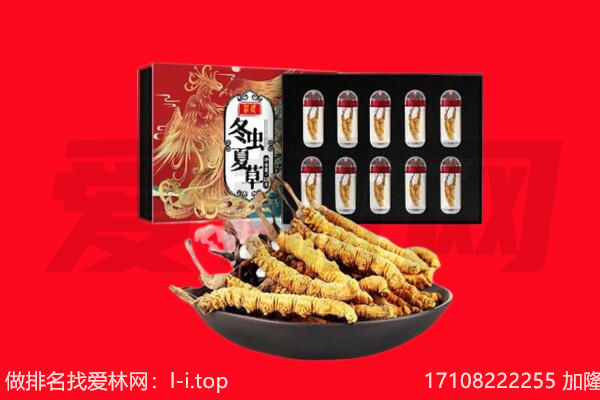 惠东县回收虫草.jpg